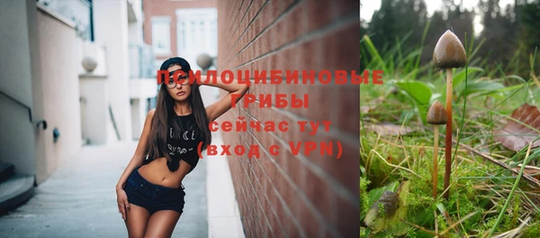 дмт Вяземский