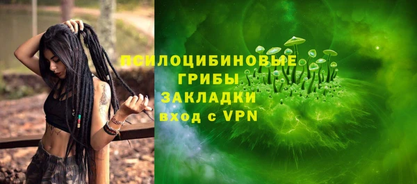 ПСИЛОЦИБИНОВЫЕ ГРИБЫ Волосово